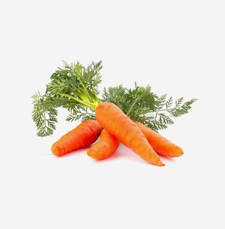 Sainsbury's Carrots Loose