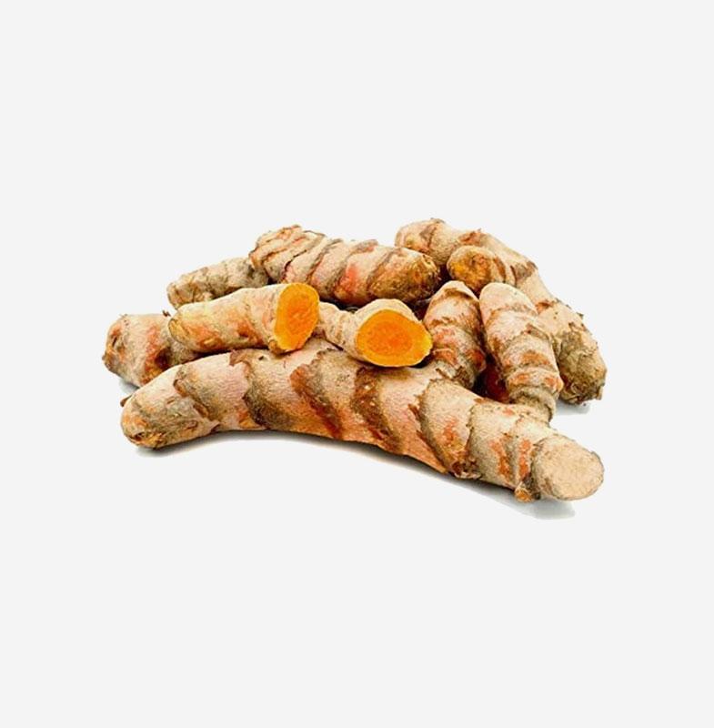 Fresh turmeric roots