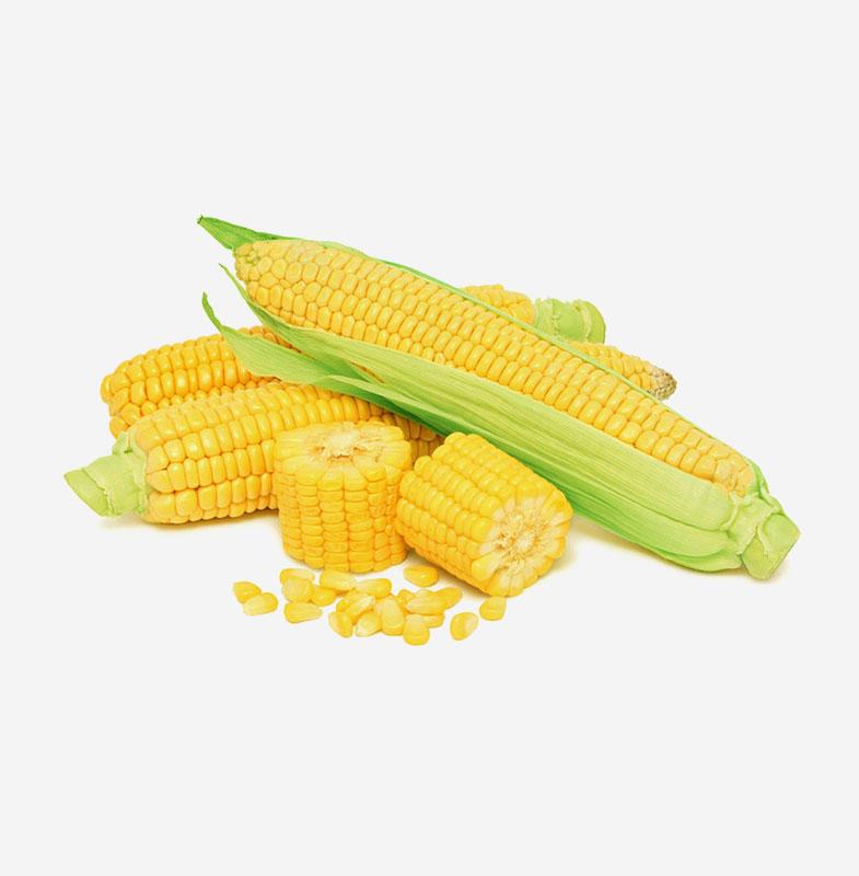 Super Sweet Corn