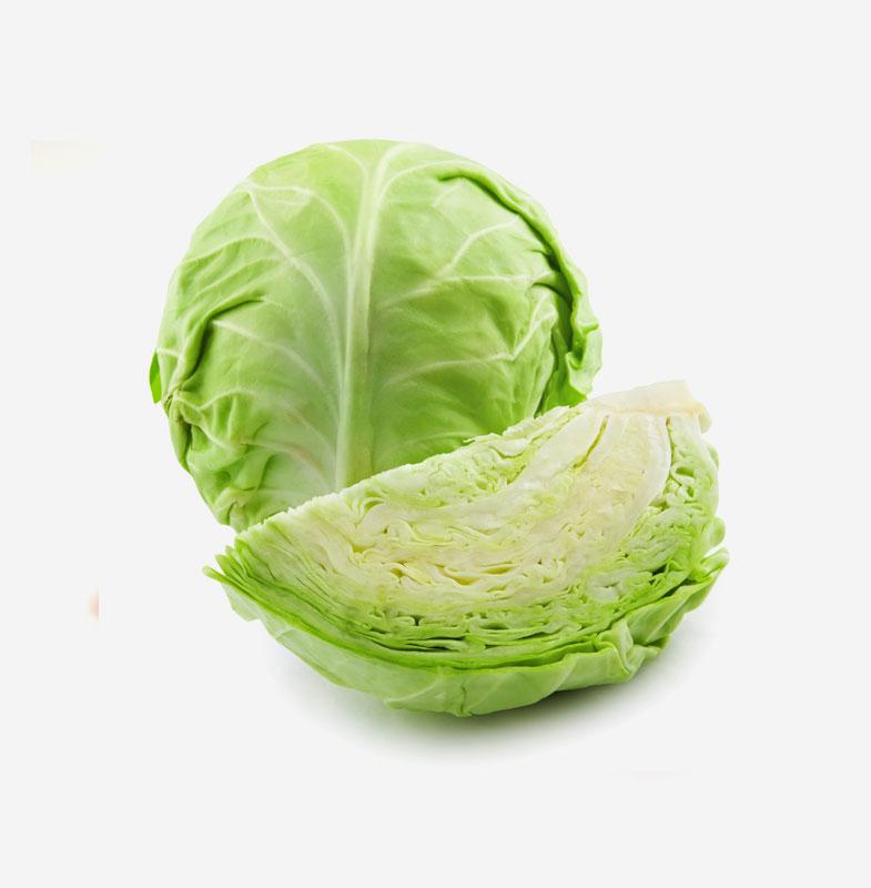 Green Cabbage