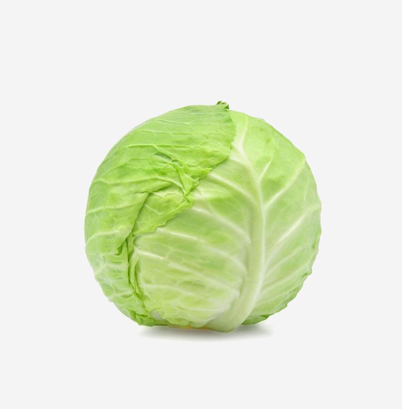 Green Cabbage