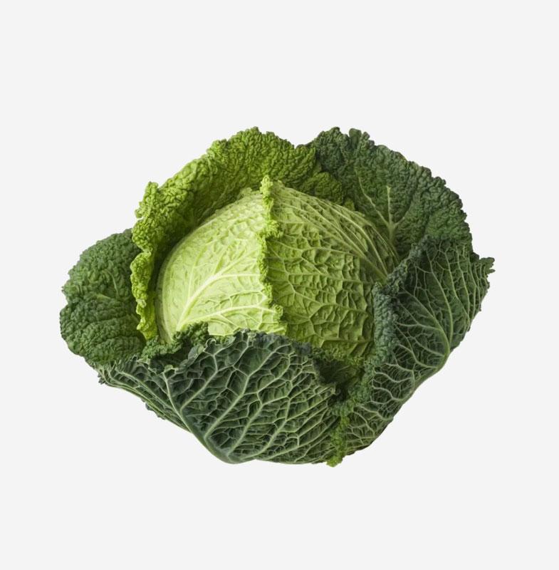 Green Cabbage