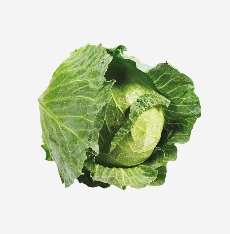 Green Cabbage