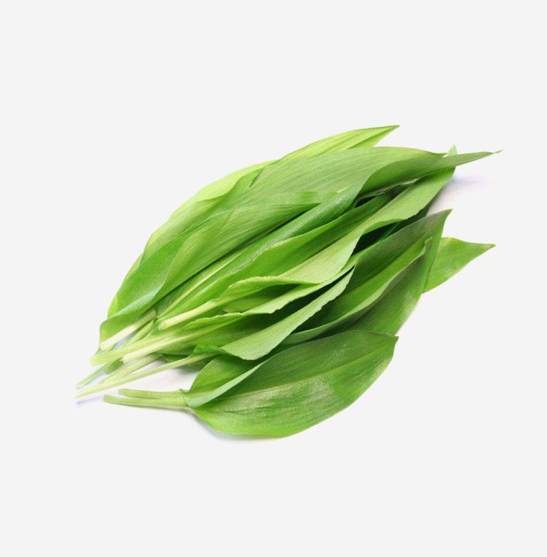 Organic Wild Garlic Leaves